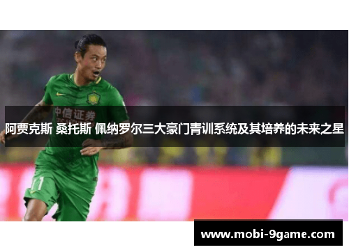 阿贾克斯 桑托斯 佩纳罗尔三大豪门青训系统及其培养的未来之星 阿贾克斯 桑托斯 佩纳罗尔三大豪门青训系统及其培养的未来之星