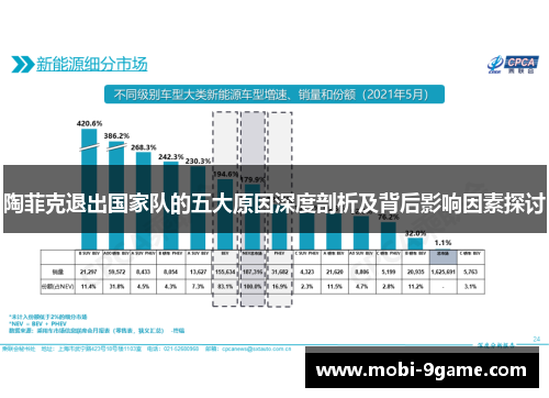 陶菲克退出国家队的五大原因深度剖析及背后影响因素探讨 陶菲克退出国家队的五大原因深度剖析及背后影响因素探讨