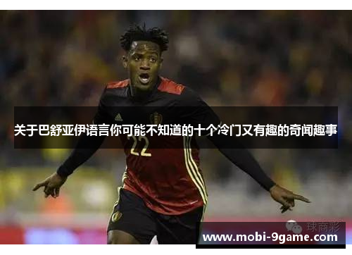 关于巴舒亚伊语言你可能不知道的十个冷门又有趣的奇闻趣事 关于巴舒亚伊语言你可能不知道的十个冷门又有趣的奇闻趣事