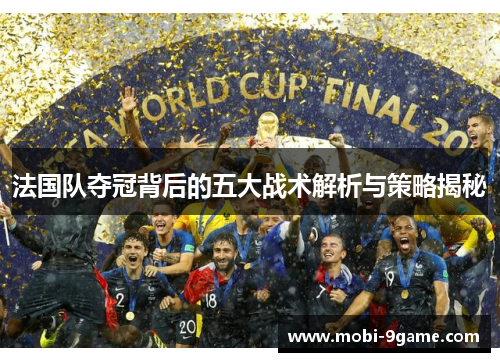 法国队夺冠背后的五大战术解析与策略揭秘