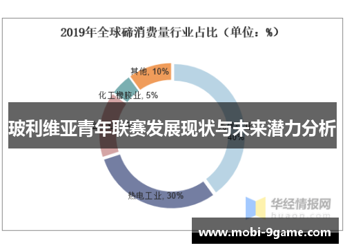 玻利维亚青年联赛发展现状与未来潜力分析