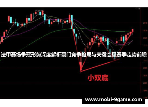 法甲赛场争冠形势深度解析豪门竞争格局与关键变量赛季走势前瞻