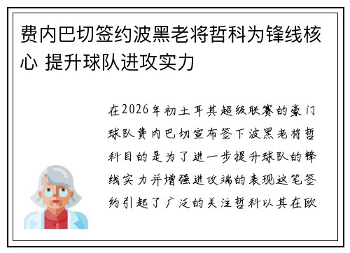 费内巴切签约波黑老将哲科为锋线核心 提升球队进攻实力