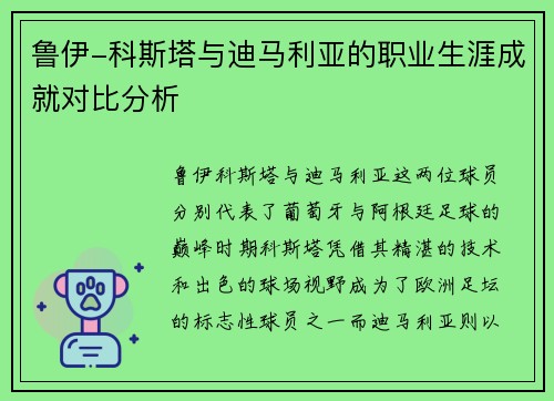 鲁伊-科斯塔与迪马利亚的职业生涯成就对比分析 鲁伊-科斯塔与迪马利亚的职业生涯成就对比分析