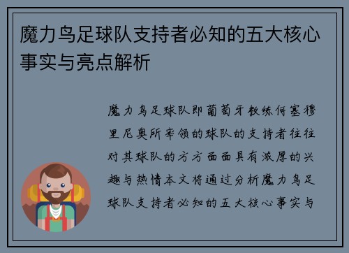 魔力鸟足球队支持者必知的五大核心事实与亮点解析